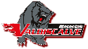 VDScalve